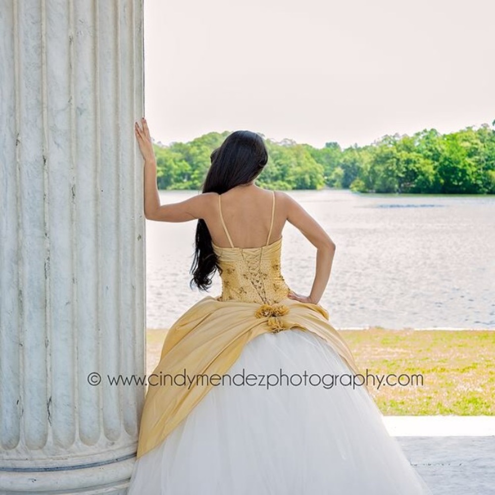 quinceanera dress